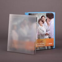 Chemistry Company PP Plastic Box File Design and Printing