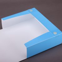 Chemistry Company PP Plastic Box File Design and Printing