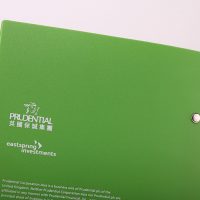 保險公司的PP塑膠活頁文件夾印刷及設計 Insurance Company PP Plastic Ring Binder Design and Printing